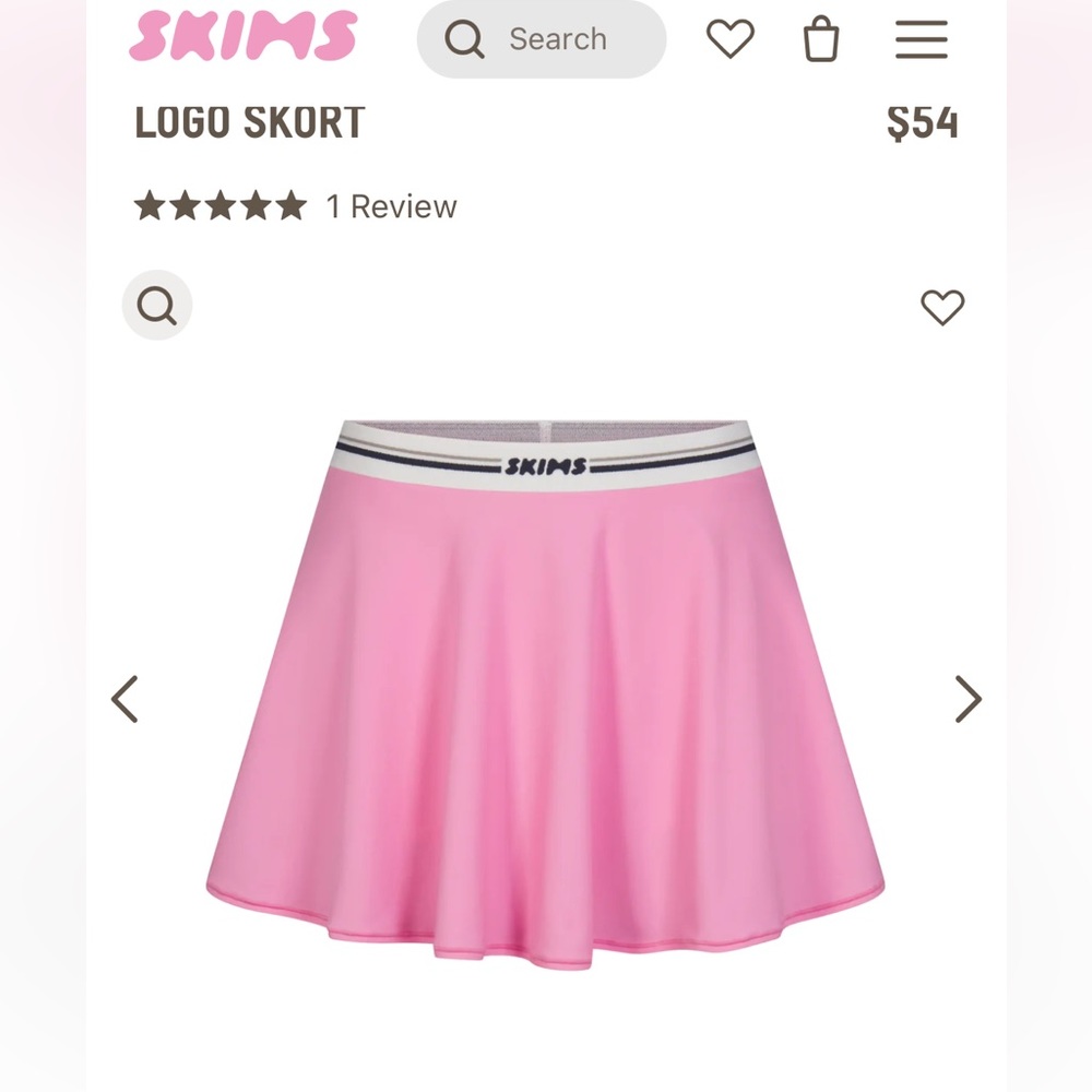 Skims Skirt